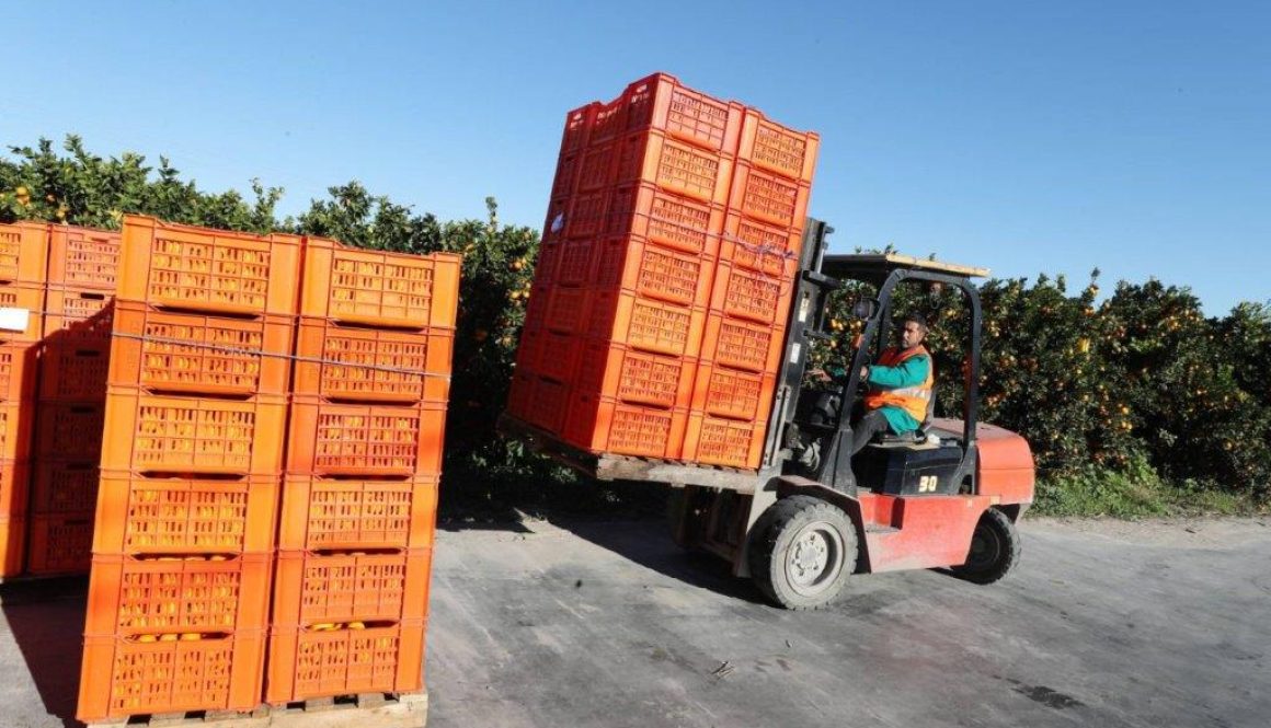 حكومة تونس تطلب تمويلاً مباشراً من «المركزي» بـ2.25 مليار دولار