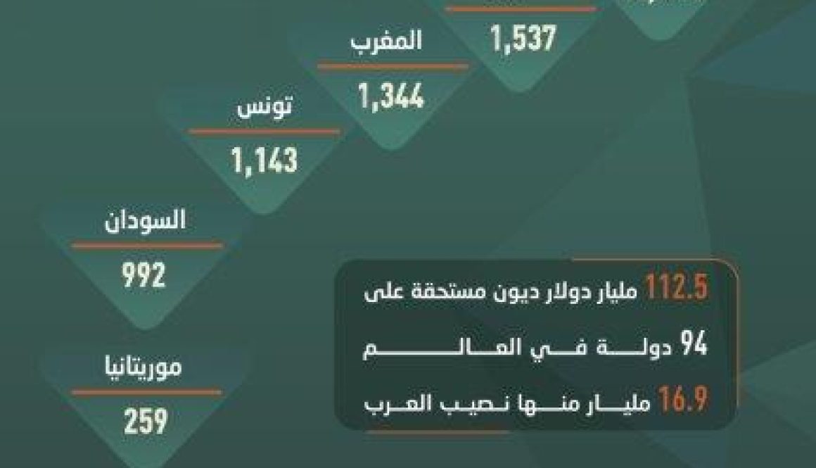 نصف الدول العربية مدينة لصندوق النقد الدولي بـ 17 مليار دولار ومصر الأعلى