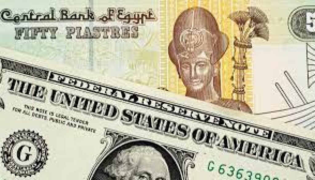 سعر الجنيه المصري مقابل الدولار يحقق مكاسب ملحوظة في السوق الموازية