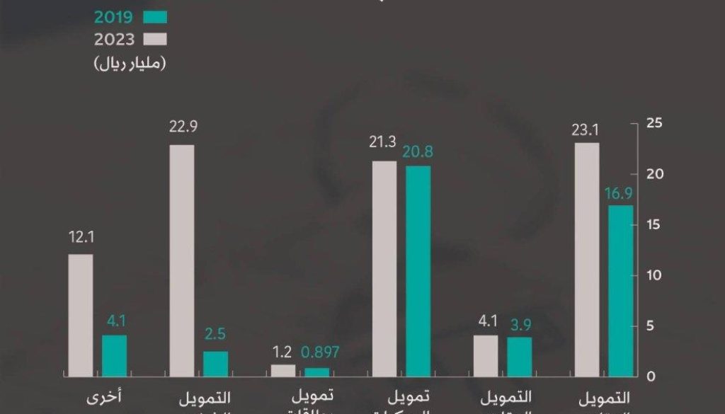 النمو الاقتصادي يعزز دور شركات التمويل في السعودية1