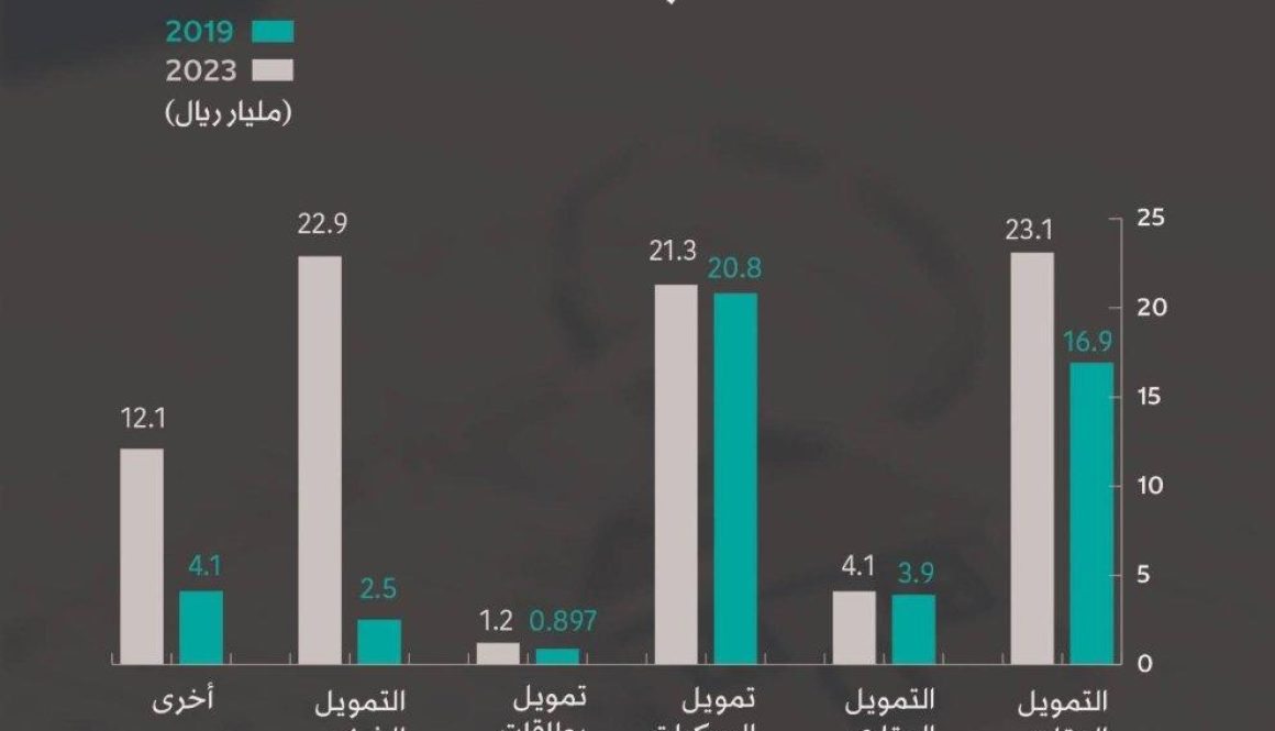 النمو الاقتصادي يعزز دور شركات التمويل في السعودية1