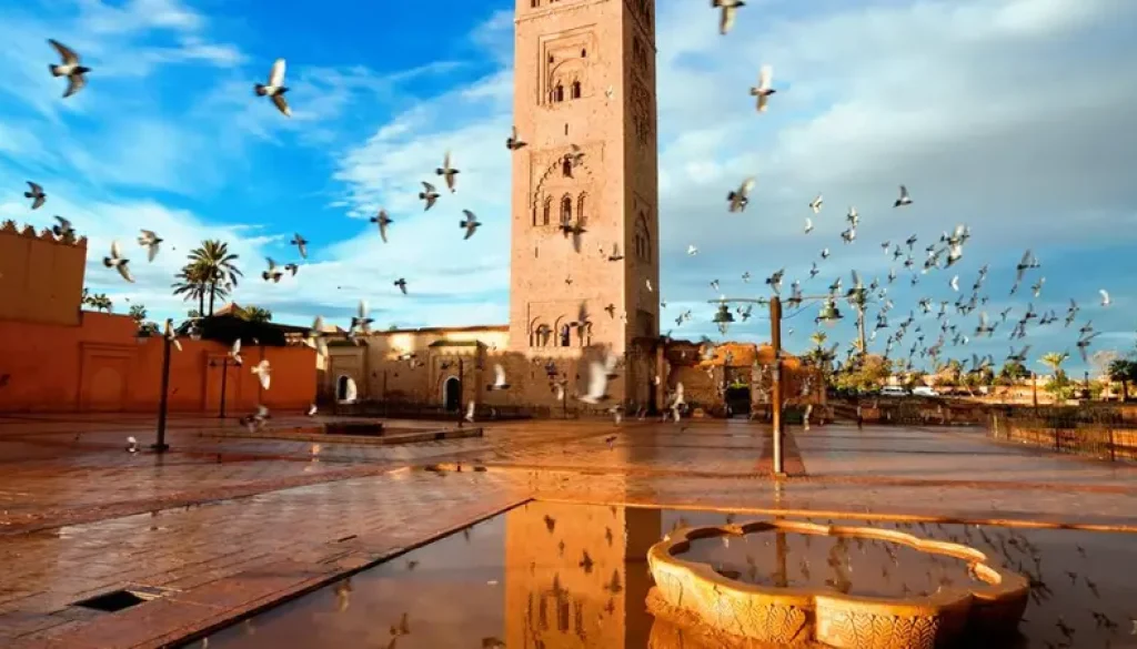 فيتش ترسم توقعات متفائلة لأداء السياحة في المغرب خلال 2024