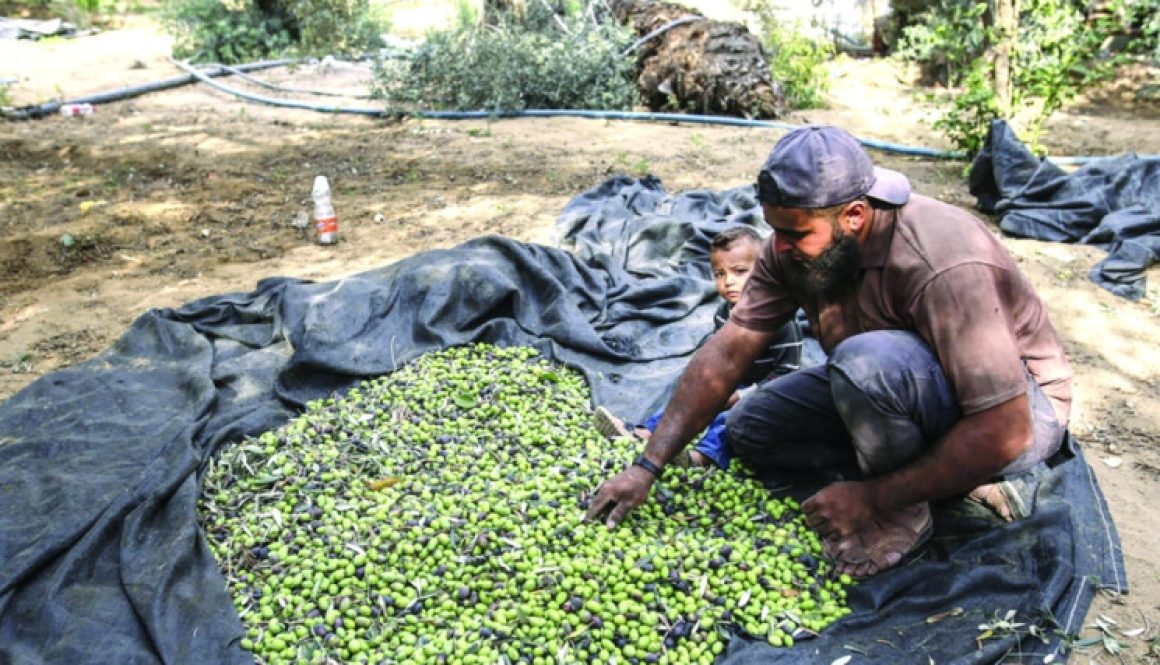 البنك الدولي تحسُّن طفيف في الاقتصاد اللبناني