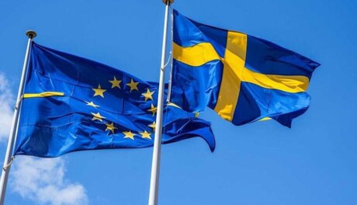 Digital Euro Use Won't Push Out Swedish Krona Central Bank