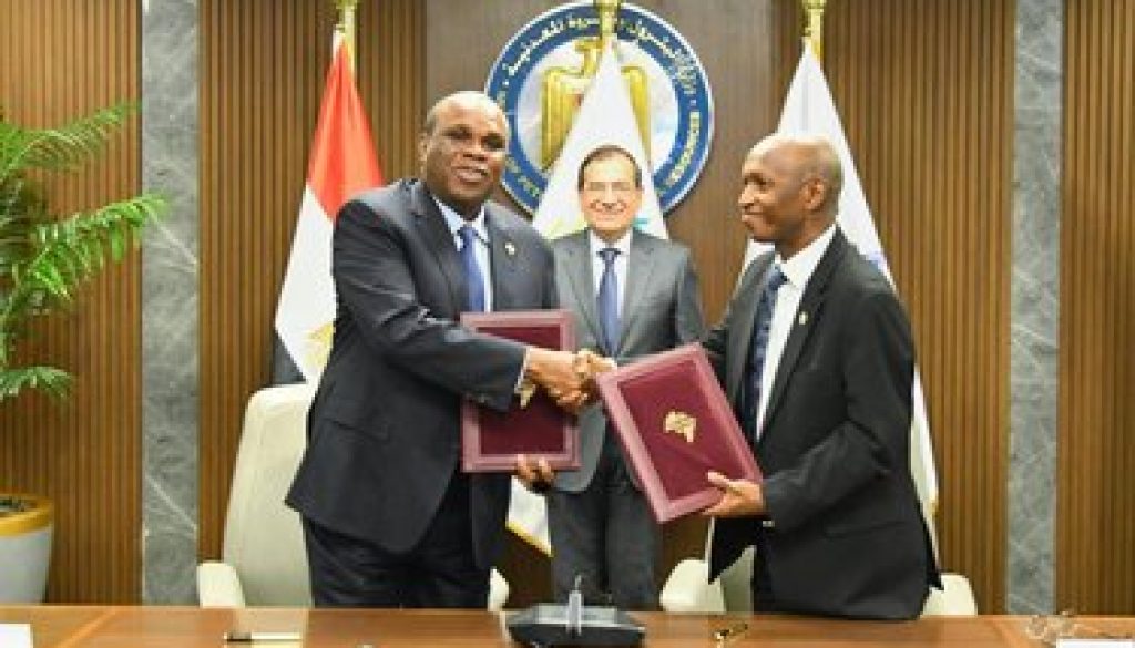 توقيع اتفاق تأسيس البنك الأفريقي للطاقة في مصر برأسمال 5 مليارات دولار