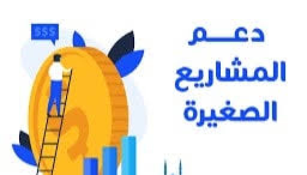 دعم المنشآت الصغيرة هدف وطني لغايات متنوعة