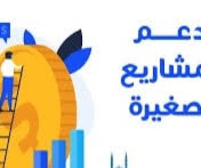 دعم المنشآت الصغيرة هدف وطني لغايات متنوعة