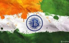 India Ranks Number One In Crypto Adoption, But Stablecoin Acceptance Needed For Growth