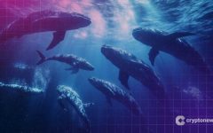 Top 104 Ethereum Whales Now Control 57% of All ETH, New High in Whale Dominance