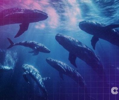 Top 104 Ethereum Whales Now Control 57% of All ETH, New High in Whale Dominance