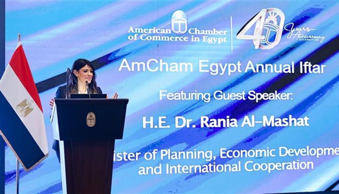 المشاط مصر تمتلك بنية تحتية تؤهلها لتصبح مركزًا إقليميًا للتجارة الدولية والطاقة الخضراء