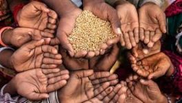 واقع الأمن الغذائي في لبنان 30% من الاشخاص يعانون من انعدام الغذاء