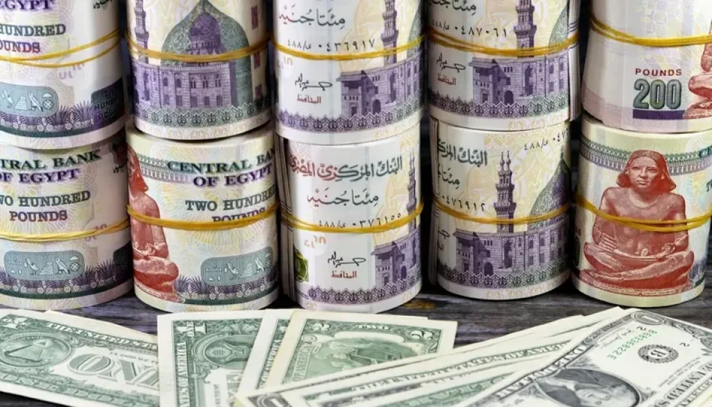 لأول مرة منذ يوليو 2024.. صافي الأصول الأجنبية للبنوك المصرية يسجل فائضاً