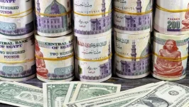 لأول مرة منذ يوليو 2024.. صافي الأصول الأجنبية للبنوك المصرية يسجل فائضاً لأول مرة منذ يوليو 2024.. صافي الأصول الأجنبية للبنوك المصرية يسجل فائضاً