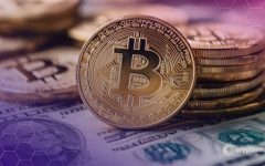Traders Flee Dollar for BTC, but Technicals Warn of Pullback to $92K Analyst