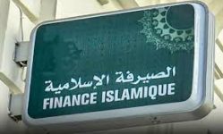 الأزمات المالية العالمية تمهّد الطريق لنمو الصيرفة الإسلامية الأزمات المالية العالمية تمهّد الطريق لنمو الصيرفة الإسلامية