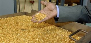 37 طناً إنتاج السودان من الذهب في النصف الأول 2025