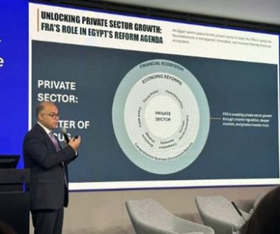 فريد إصلاح بيئة الأعمال بالقطاع المالي غير المصرفي لتعزيز ثقة المستثمر