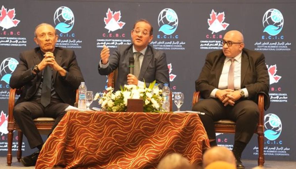 وزير المالية إطلاق وثيقة السياسات الضريبية قبل نهاية عام 2025