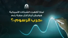 لماذا أظهرت الشركات الأميركية هوامش أرباح أكثر صلابة رغم حرب الرسوم؟