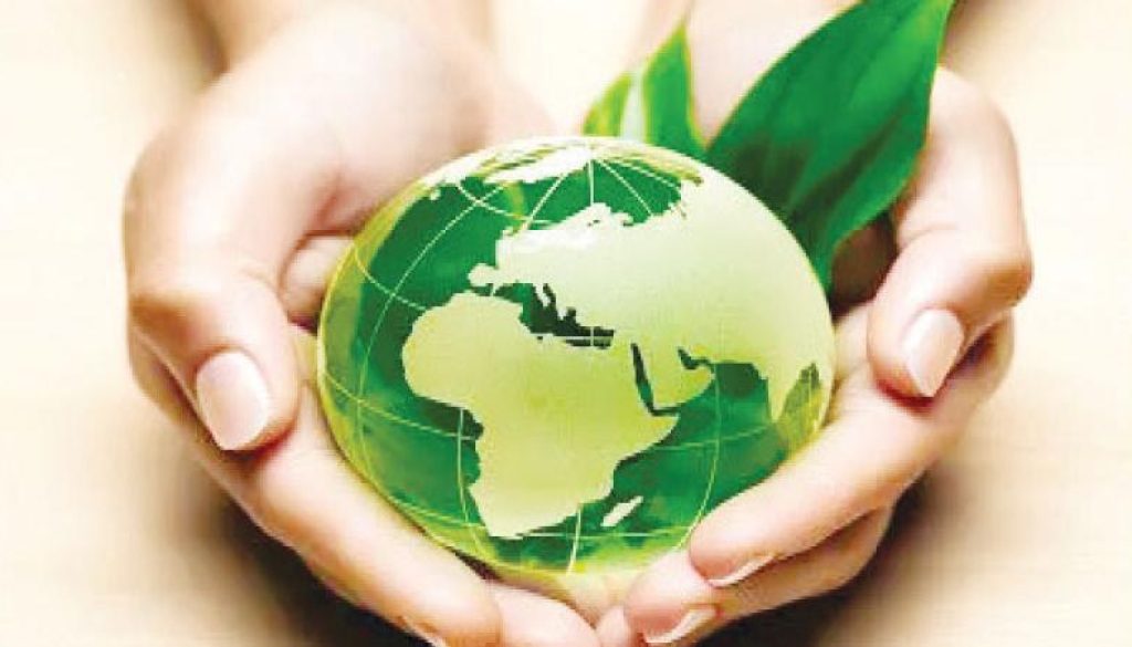 البنوك الإسلامية تتجه لتطوير الصكوك الخضراء