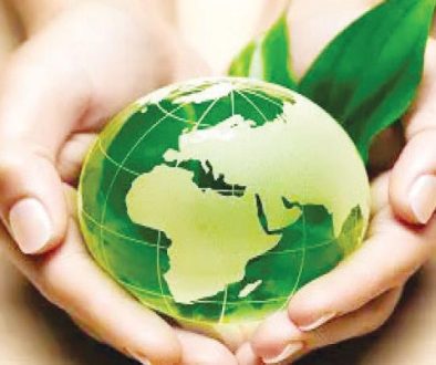 البنوك الإسلامية تتجه لتطوير الصكوك الخضراء
