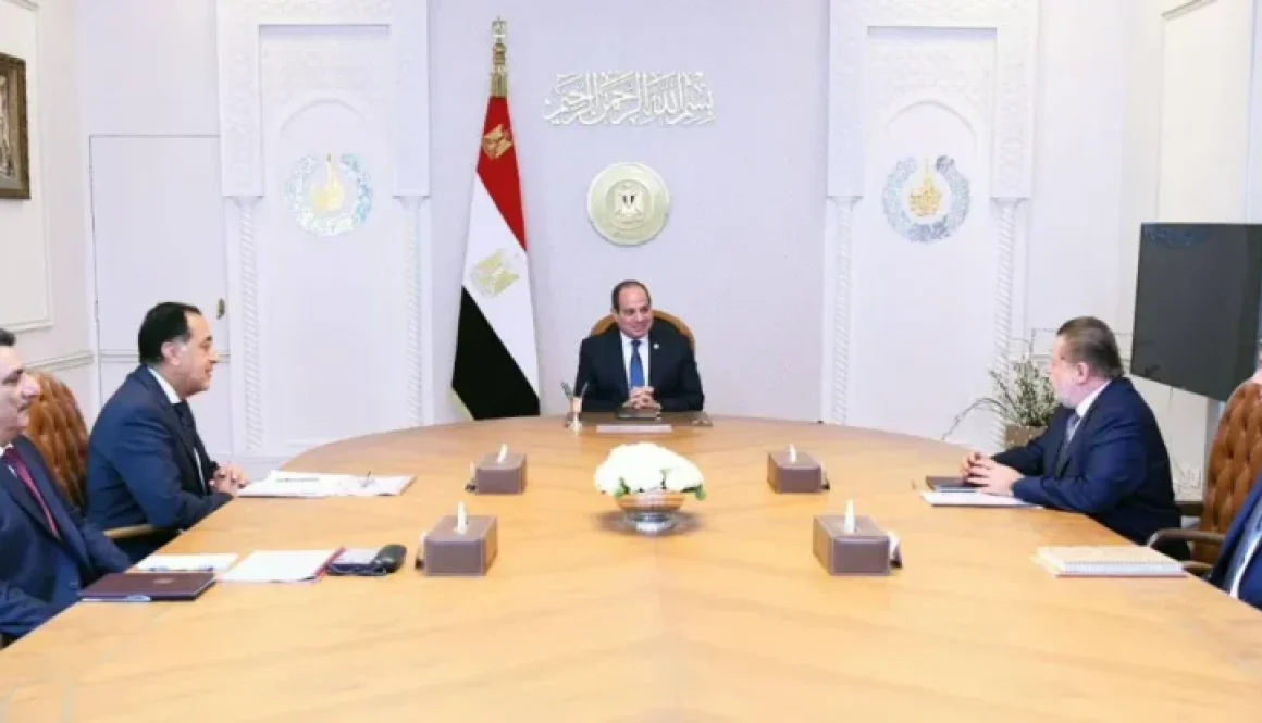 السيسي يؤكد ضرورة الاستمرار في العمل بسعر صرف مرن