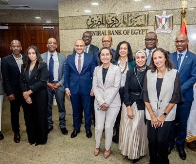 المركزي المصري يستضيف مجموعة عمل تقرير الاستقرار المالي الإفريقي