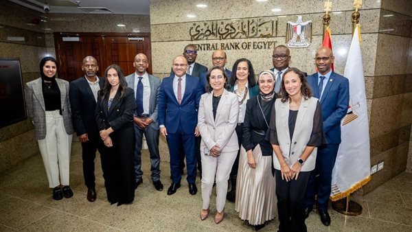 المركزي المصري يستضيف مجموعة عمل تقرير الاستقرار المالي الإفريقي
