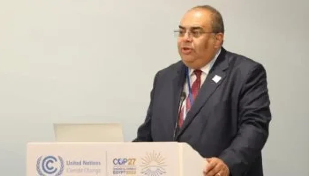 محيي الدين ضرورة معالجة تحديات التمويل في أفريقيا توفير البيانات الدقيقة