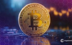 On-Chain Metrics Map a $240K Bitcoin Bull Case On-Chain Metrics Map a $240K Bitcoin Bull Case
