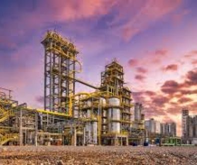 download (1) download (1)