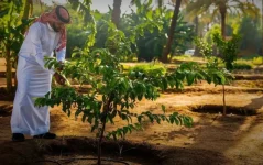 البنك الدولي يتعين على دول المنطقة تحويل تحديات المناخ والتكنولوجيا إلى فرص