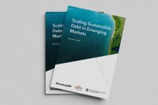 94 مليار دولار إصدارات الديون المستدامة في الشرق الأوسط وشمال أفريقيا والأسواق الناشئة في آسيا والمحيط الهادئ