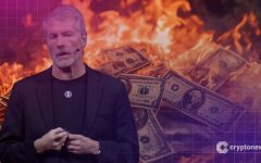 Bitcoin Treasury Companies Visionary Strategy or Risky Gamble