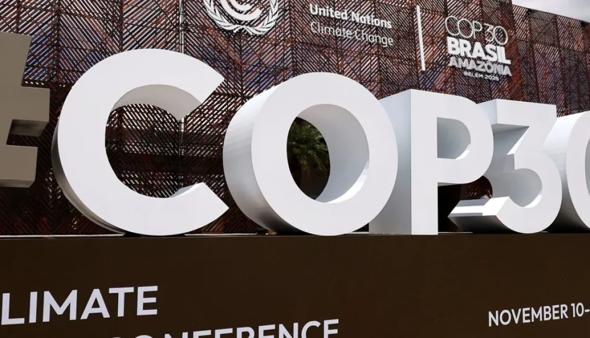 COP30 في البرازيل الخليج يوازن ما بين التنمية الاقتصادية وحماية المناخ