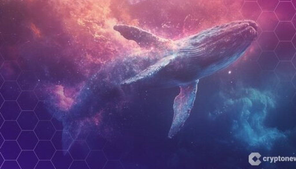 Ethereum Whales Accumulate 7.6M ETH, Hinting at Possible Trend Reversal Analyst