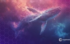 Ethereum Whales Accumulate 7.6M ETH, Hinting at Possible Trend Reversal Analyst
