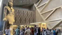 افتتاح المتحف الكبير ينعش الدولار في البنوك المصرية.. كيف يحدث ذلك؟