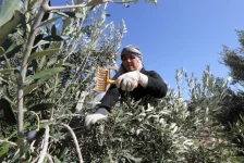 الاقتصاد التونسي ينمو بنسبة 2.4 % في الربع الثالث