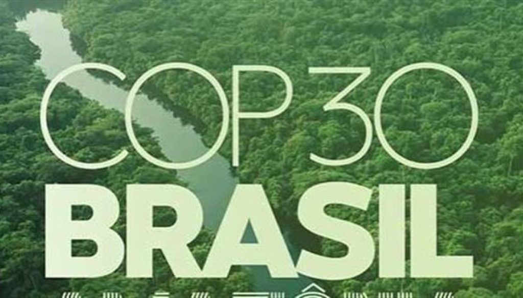 البرازيل تطلق صندوقًا عالميًا لحماية الغابات بقيمة مليار دولار تمهيدًا لمؤتمر «كوب 30»