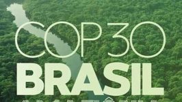 البرازيل تطلق صندوقًا عالميًا لحماية الغابات بقيمة مليار دولار تمهيدًا لمؤتمر «كوب 30»