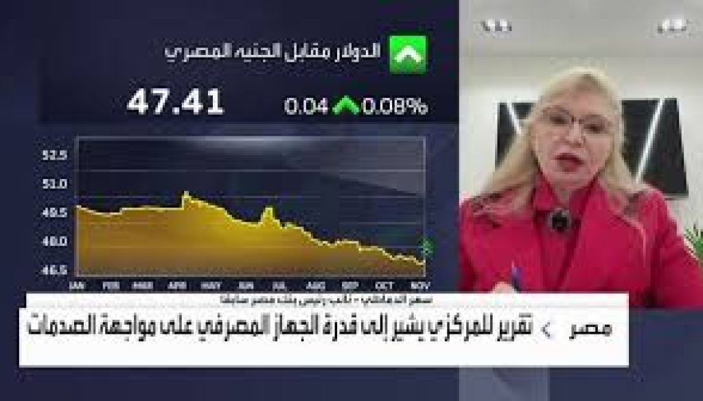 الدماطي المصارف المصرية تتمتع بملاءة قوية وقدرة على امتصاص الصدمات