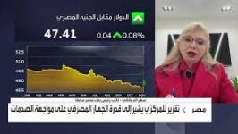 الدماطي المصارف المصرية تتمتع بملاءة قوية وقدرة على امتصاص الصدمات