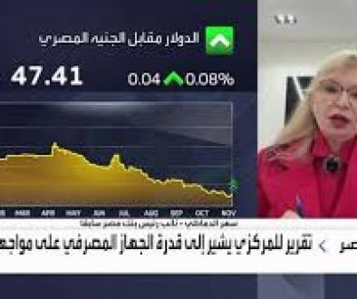 الدماطي المصارف المصرية تتمتع بملاءة قوية وقدرة على امتصاص الصدمات