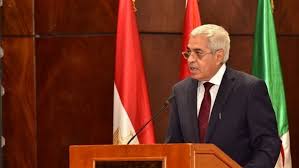 المستشار أحمد خليل