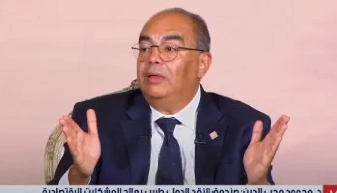 محيي الدين إصلاح معايير الإفصاح العالمية لتمكين إفريقيا من الاستثمار المستدام