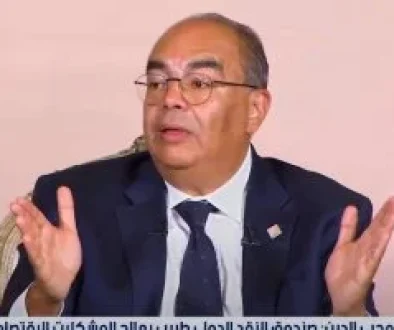 محيي الدين إصلاح معايير الإفصاح العالمية لتمكين إفريقيا من الاستثمار المستدام