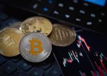 انهيار العملات المشفرة يثير الحذر ويعزز الابتكار في استراتيجيات الاستثمار