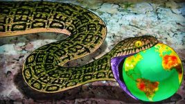 حان وقت دق ناقوس الخطر لتنامي المخاطر المالية العالمية